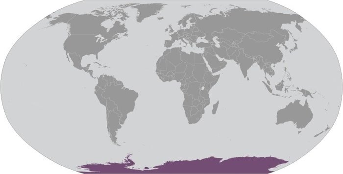 Antarctica: continent mostly south of the Antarctic Circle Antarctica: continent mostly south of the Antarctic Circle
