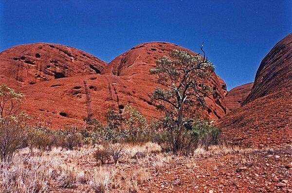 The Olgas, a red sandstone formation in the middle of Australia's Outback The Olgas, a red sandstone formation in the middle of Australia's Outback