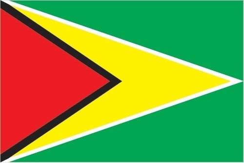 Guyana: green with a red isosceles triangle (based on the hoist side) superimposed on a long, yellow arrowhead; there is a narrow, black border between the red and yellow, and a narrow, white border between the yellow and the green; green represents forest and foliage; yellow stands for mineral resources and a bright future; white symbolizes Guyana's rivers; red signifies zeal and the sacrifice of the people; black indicates perseverance; also referred to by its nickname The Golden Arrowhead Guyana: green with a red isosceles triangle (based on the hoist side) superimposed on a long, yellow arrowhead; there is a narrow, black border between the red and yellow, and a narrow, white border between the yellow and the green; green represents forest and foliage; yellow stands for mineral resources and a bright future; white symbolizes Guyana's rivers; red signifies zeal and the sacrifice of the people; black indicates perseverance; also referred to by its nickname The Golden Arrowhead<br />
