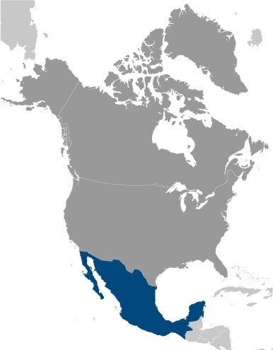 Mexico: North America, bordering the Caribbean Sea and the Gulf of Mexico, between Belize and the United States and bordering the North Pacific Ocean, between Guatemala and the United States Mexico: North America, bordering the Caribbean Sea and the Gulf of Mexico, between Belize and the United States and bordering the North Pacific Ocean, between Guatemala and the United States