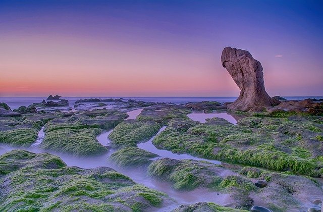 Sea, Rock, Vietnam Sea, Rock, Vietnam