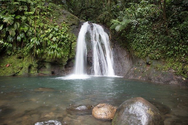 Guadeloupe, Waterfall, Jungle Guadeloupe, Waterfall, Jungle